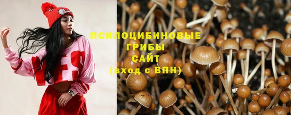 шишки Каменск-Шахтинский