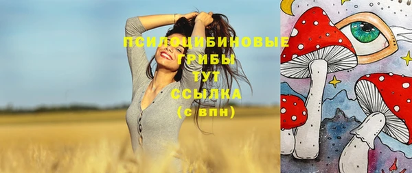 шишки Каменск-Шахтинский