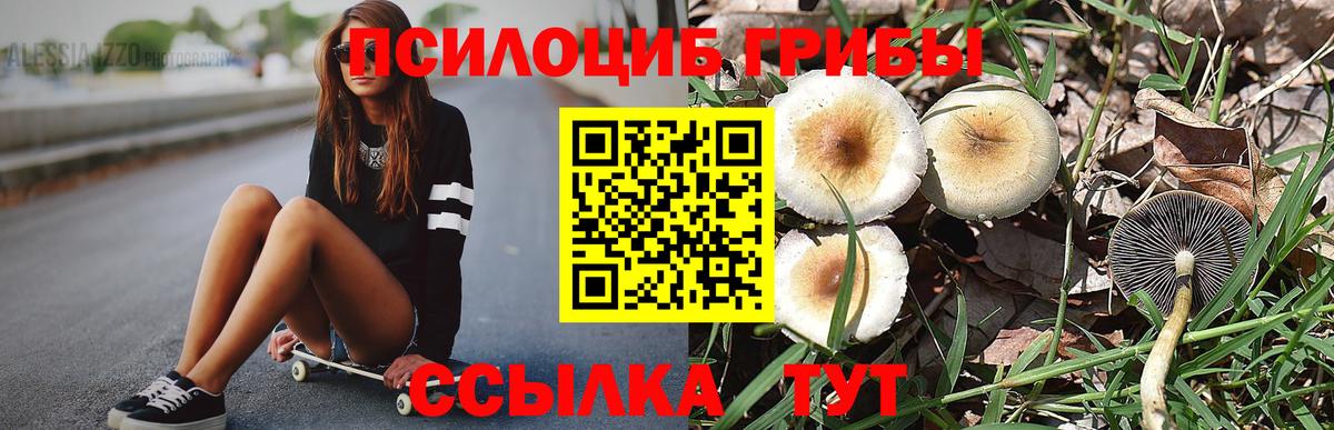Галлюциногенные грибы мицелий Новочебоксарск
