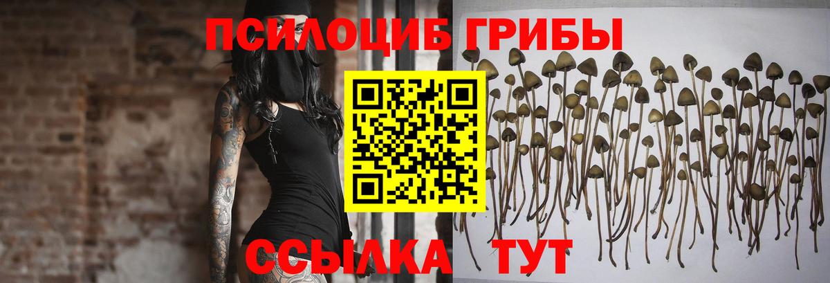 Псилоцибиновые грибы Magic Shrooms  Галлюциногенные грибы MAGIC MUSHROOMS  купить   Новочебоксарск 