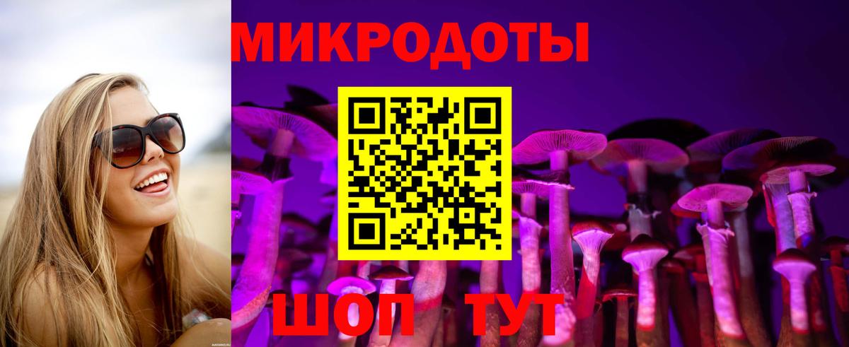 Псилоцибиновые грибы Psilocybine cubensis  Вход с VPN  что такое наркотик  Новочебоксарск 